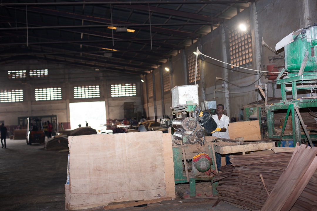 Plywood processing